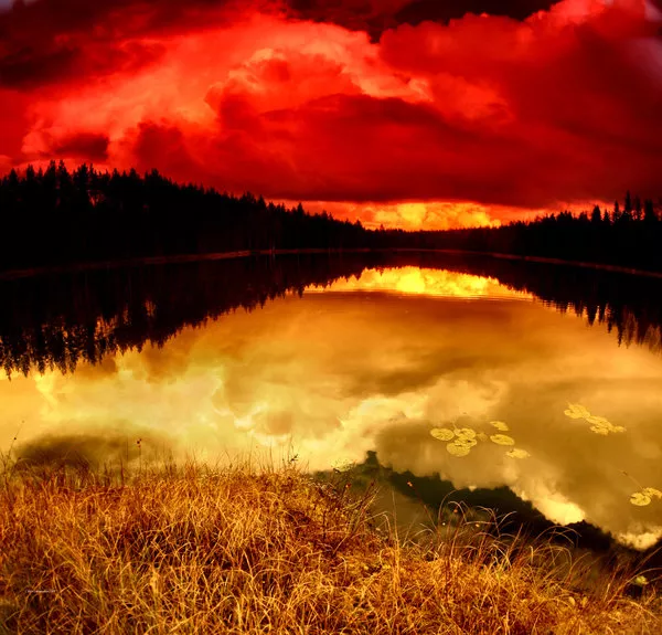 Зимние пейзажи Kari Liimatainen