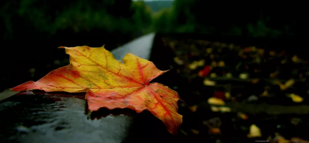 Зимние пейзажи Kari Liimatainen