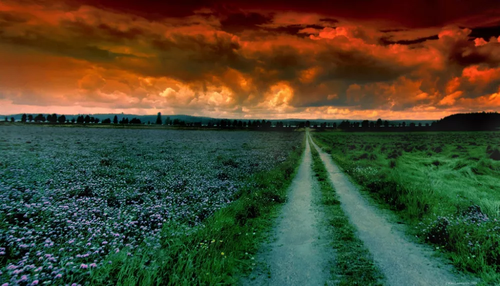 Зимние пейзажи Kari Liimatainen