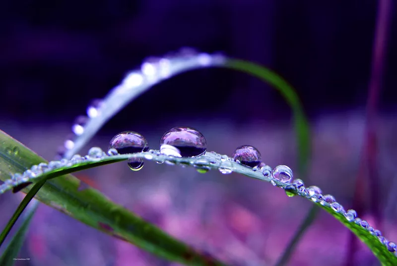 Зимние пейзажи Kari Liimatainen