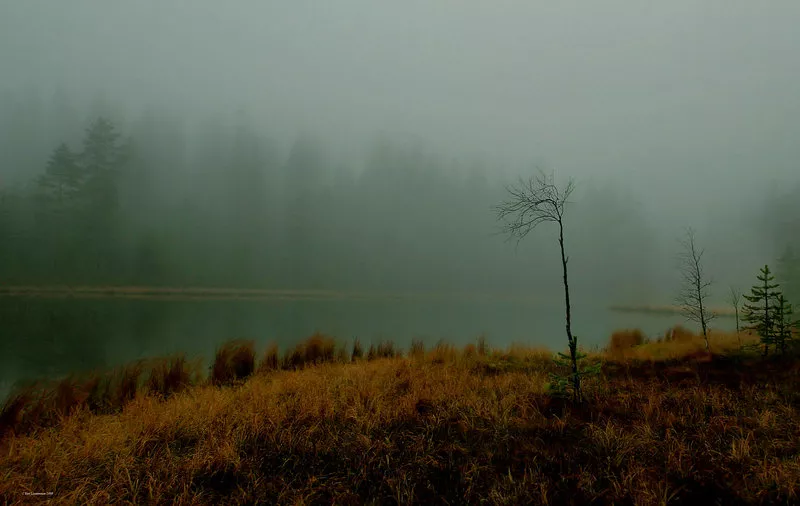 Зимние пейзажи Kari Liimatainen