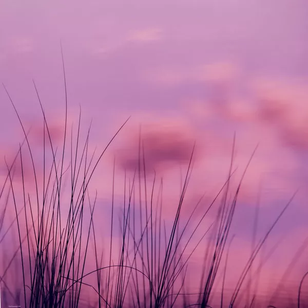 Зимние пейзажи Kari Liimatainen