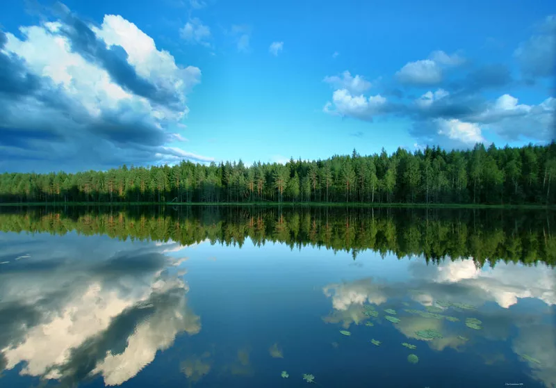 Зимние пейзажи Kari Liimatainen