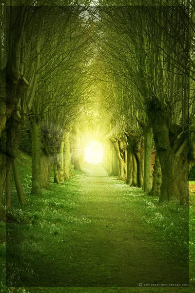 Нежные сказки Louvre89