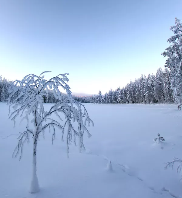 Зимние пейзажи Kari Liimatainen