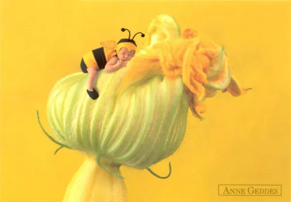 Фотографии детей Anne Geddes