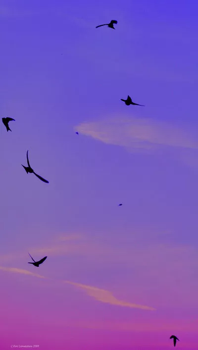 Зимние пейзажи Kari Liimatainen