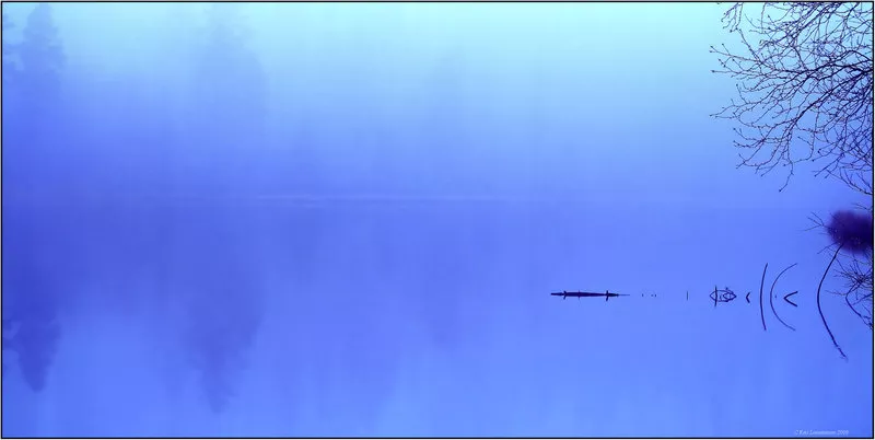 Зимние пейзажи Kari Liimatainen