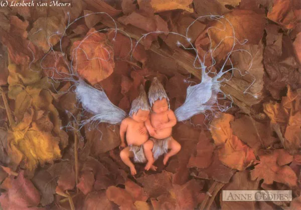 Фотографии детей Anne Geddes