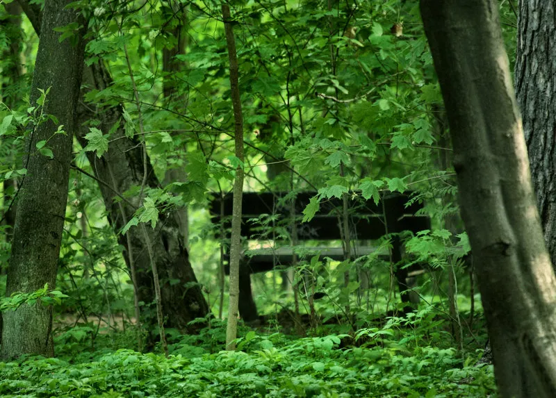 Зимние пейзажи Kari Liimatainen