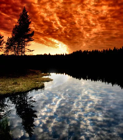 Зимние пейзажи Kari Liimatainen