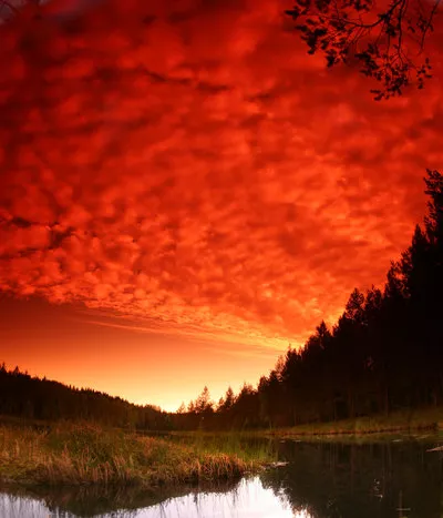 Зимние пейзажи Kari Liimatainen