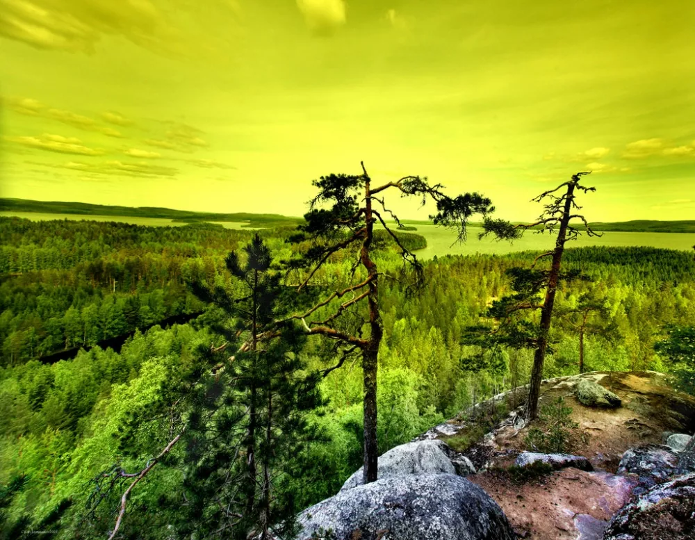 Зимние пейзажи Kari Liimatainen