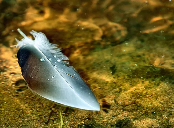 Зимние пейзажи Kari Liimatainen