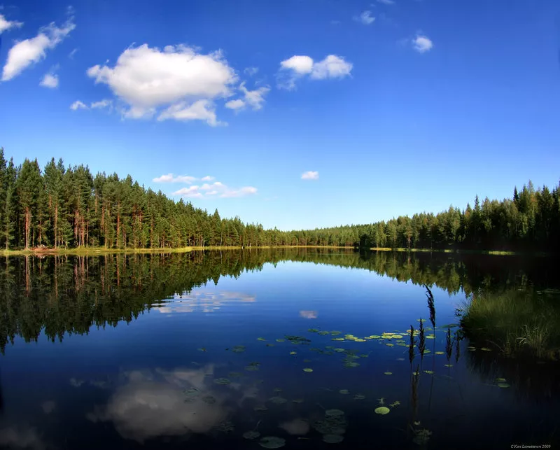 Зимние пейзажи Kari Liimatainen