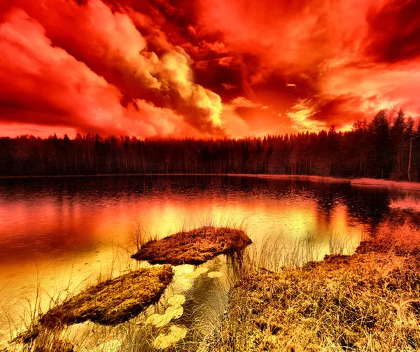 Зимние пейзажи Kari Liimatainen