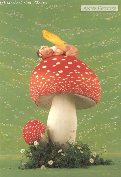 Фотографии детей Anne Geddes