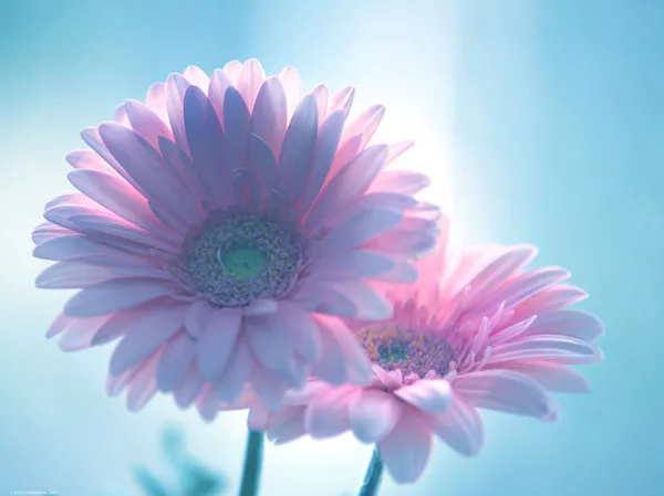 Зимние пейзажи Kari Liimatainen