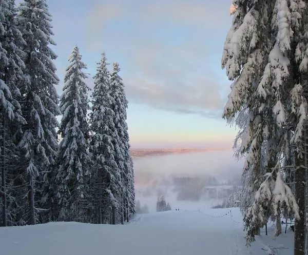 Зимние пейзажи Kari Liimatainen