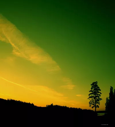 Зимние пейзажи Kari Liimatainen