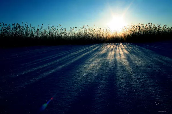 Зимние пейзажи Kari Liimatainen