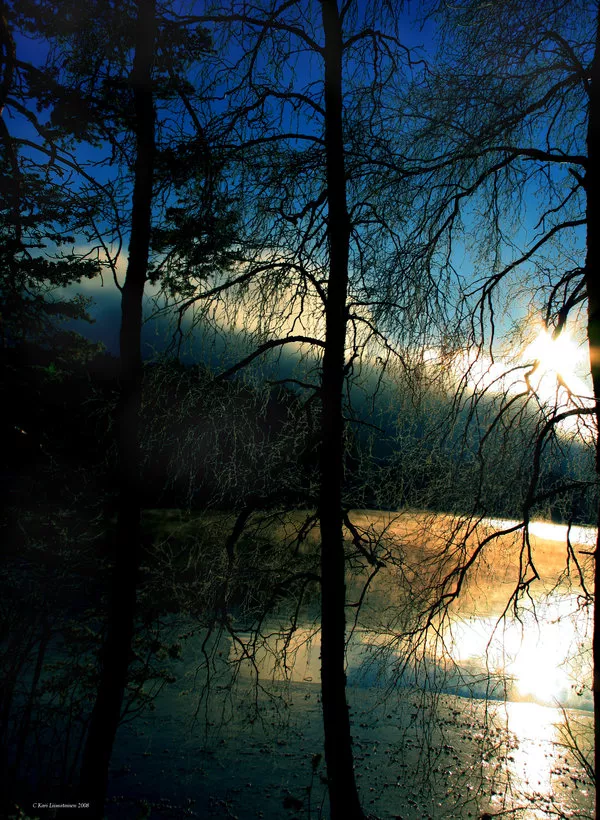 Зимние пейзажи Kari Liimatainen