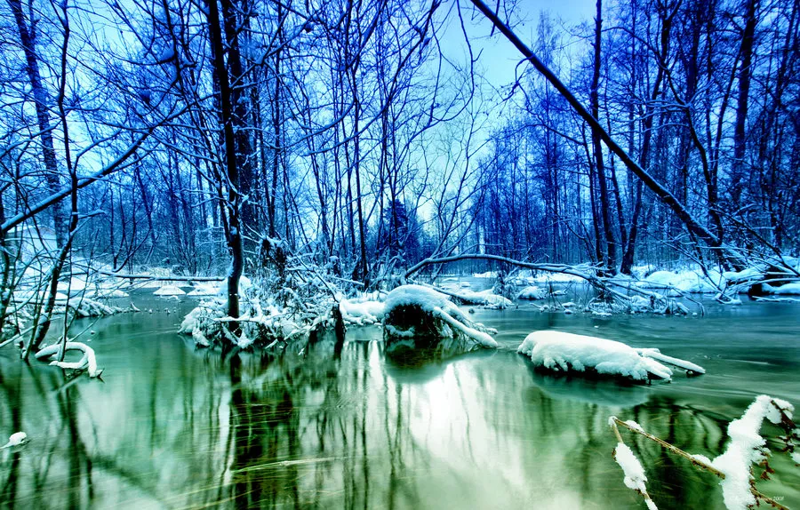 Зимние пейзажи Kari Liimatainen