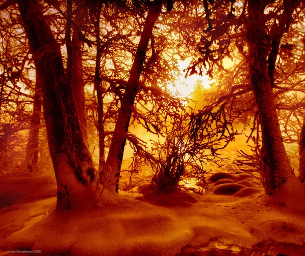 Зимние пейзажи Kari Liimatainen