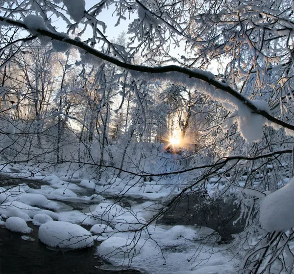 Зимние пейзажи Kari Liimatainen