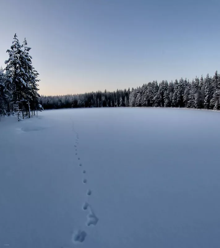 Зимние пейзажи Kari Liimatainen