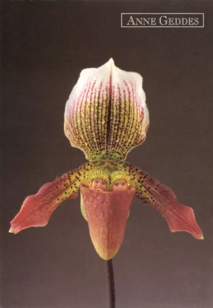 Фотографии детей Anne Geddes