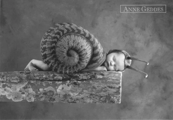 Фотографии детей Anne Geddes
