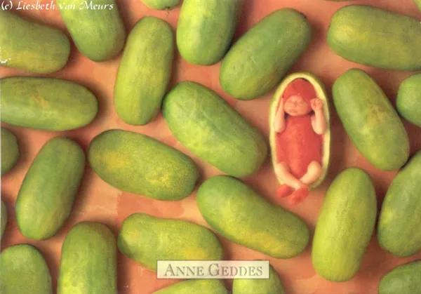 Фотографии детей Anne Geddes