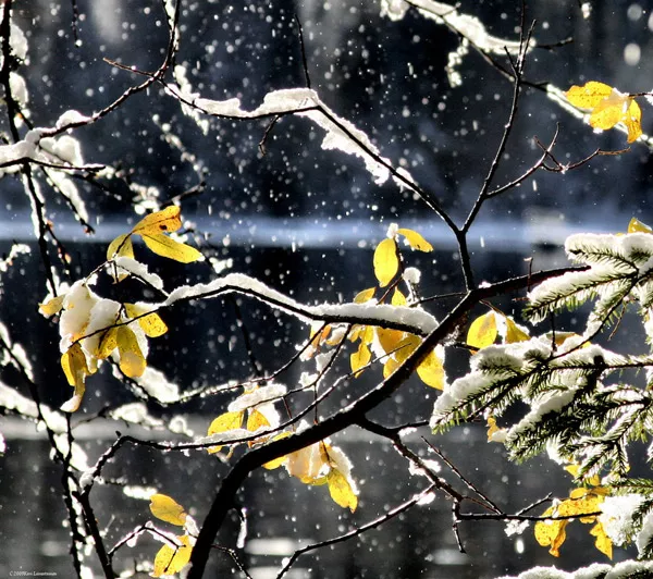 Зимние пейзажи Kari Liimatainen