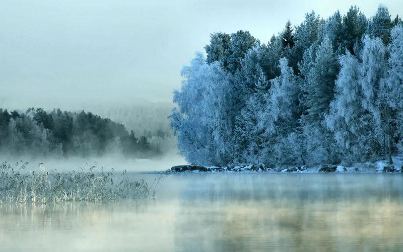 Зимние пейзажи Kari Liimatainen