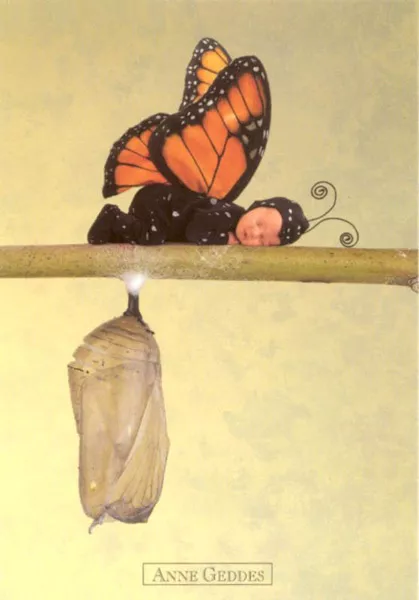 Фотографии детей Anne Geddes