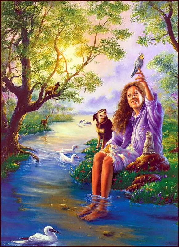 Мечты у моря Jim Warren