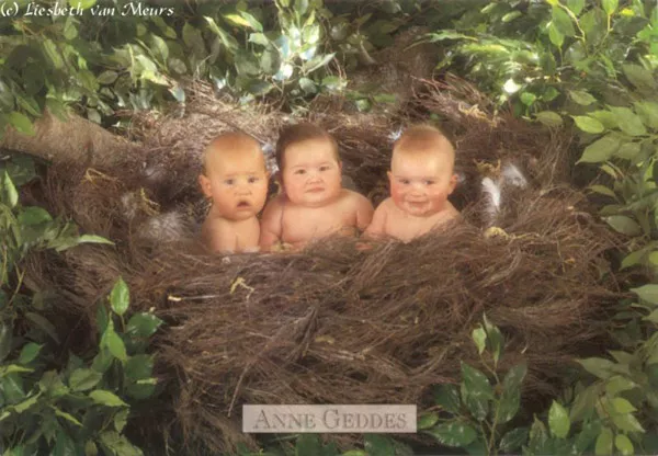 Фотографии детей Anne Geddes