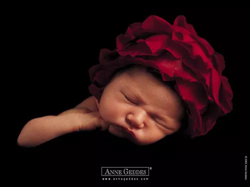 Фотографии детей Anne Geddes