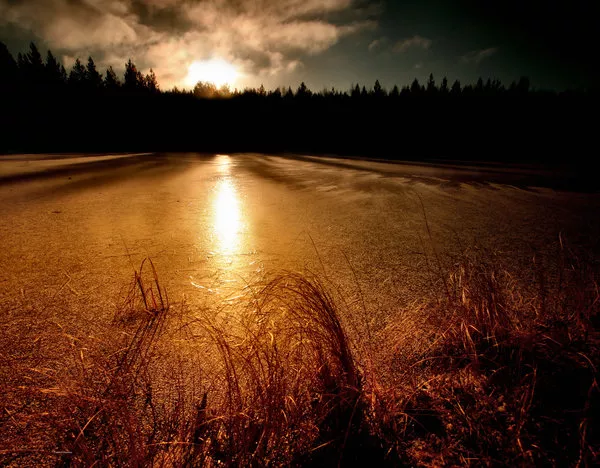 Зимние пейзажи Kari Liimatainen