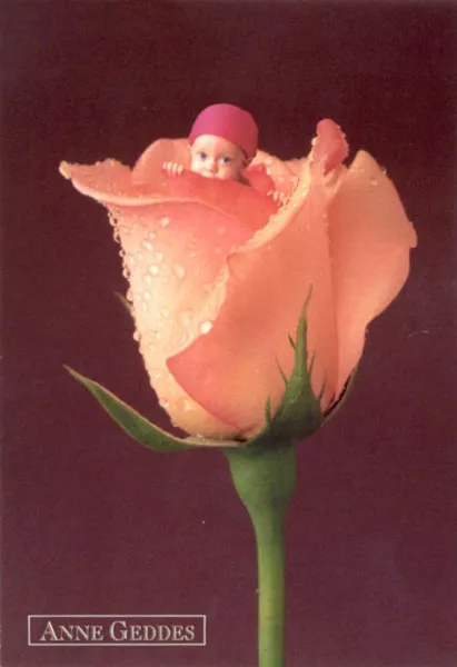 Фотографии детей Anne Geddes