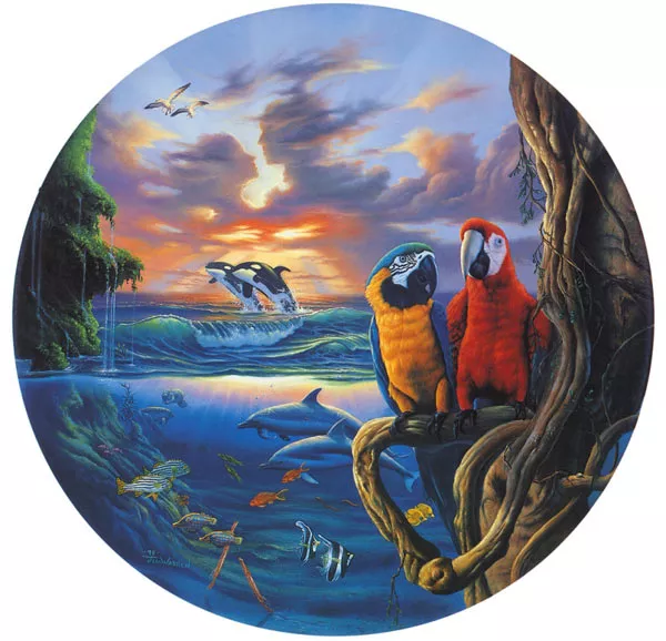 Мечты у моря Jim Warren