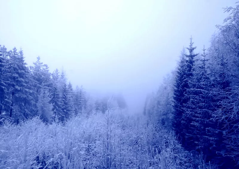 Зимние пейзажи Kari Liimatainen