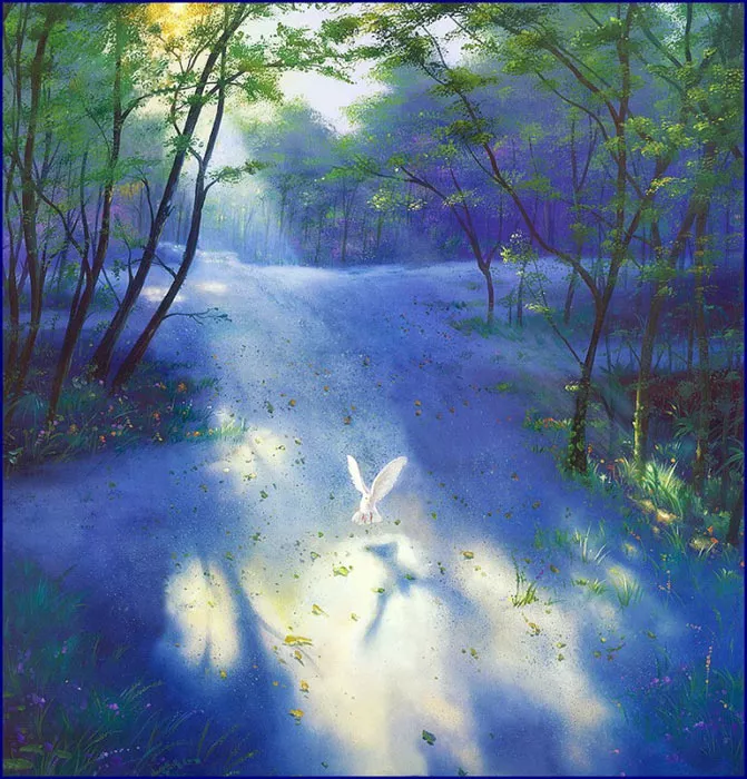 Мечты у моря Jim Warren