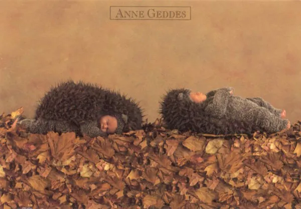 Фотографии детей Anne Geddes