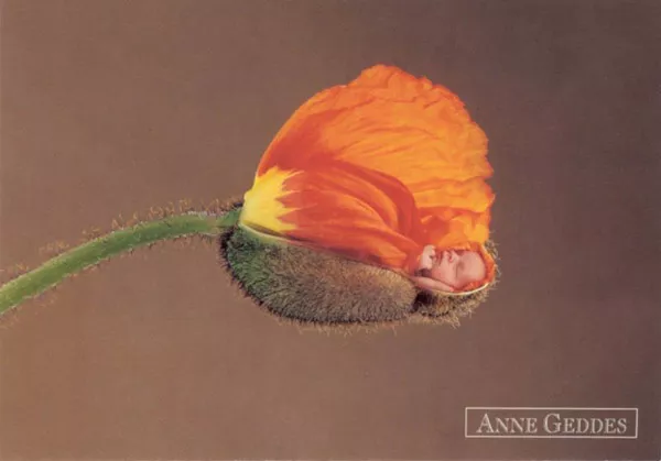 Фотографии детей Anne Geddes