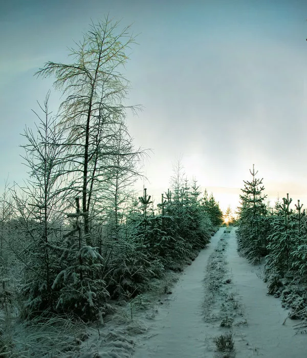 Зимние пейзажи Kari Liimatainen