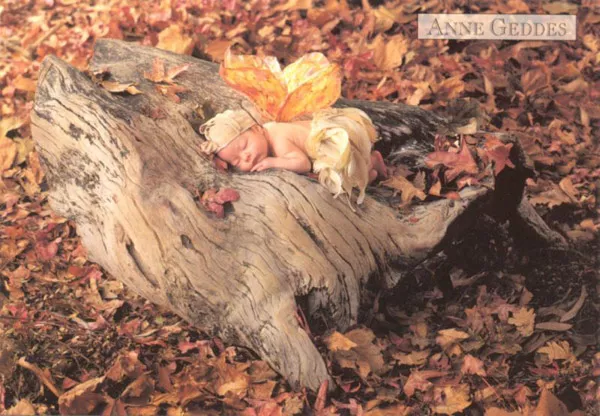 Фотографии детей Anne Geddes