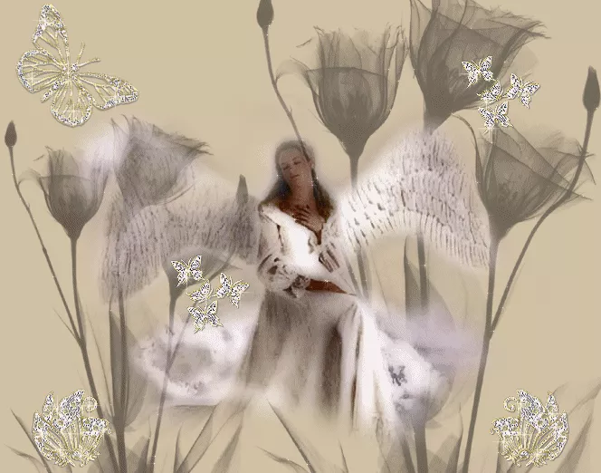 Ангелы (анимация)