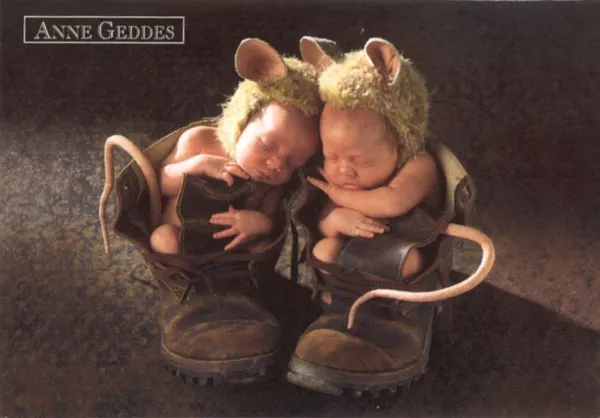 Фотографии детей Anne Geddes